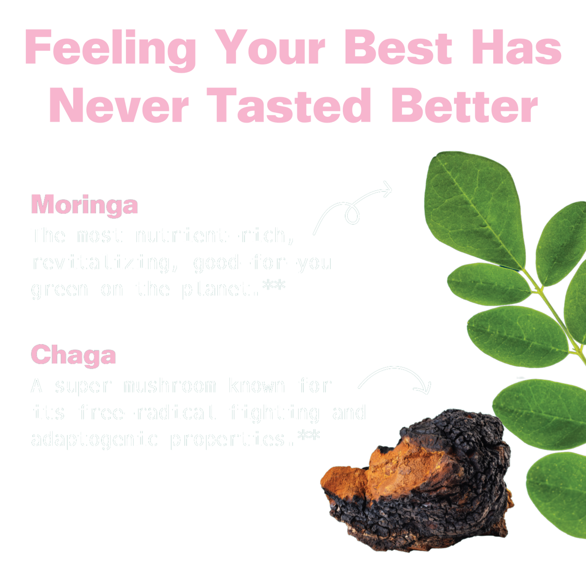 Moringa & Chaga Mushroom Superfood Gummies