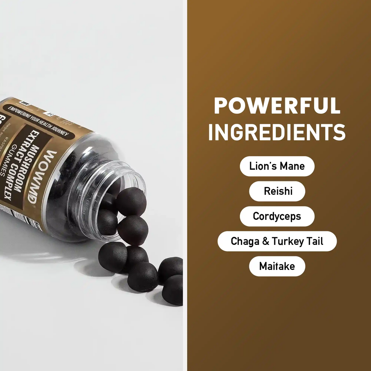 Mushroom Extract Complex Gummies